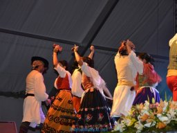 Festival de Folkore en Mula